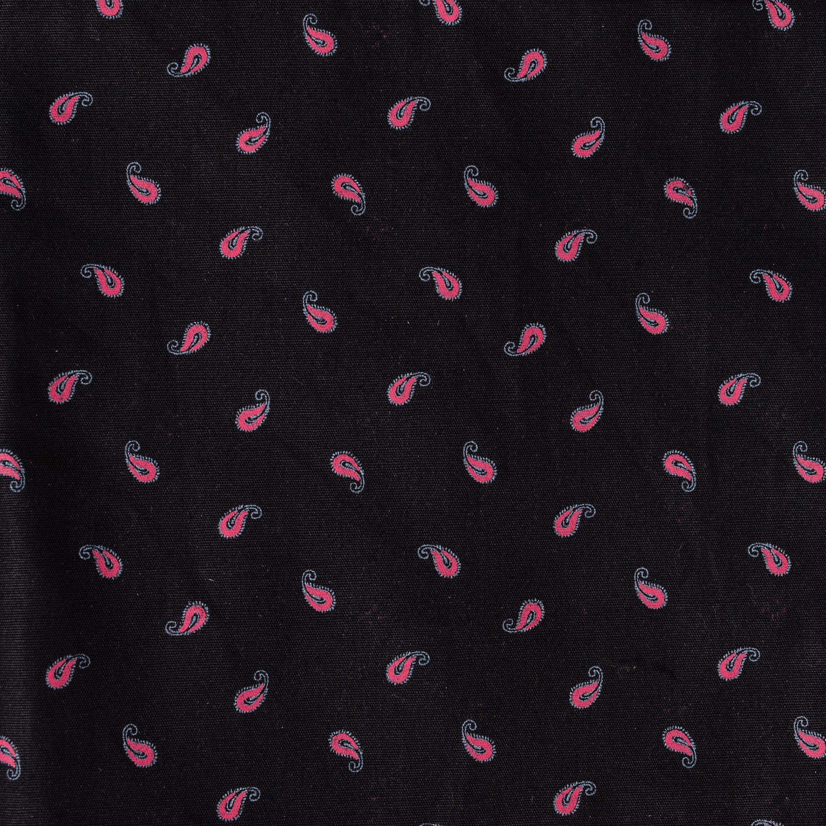 Black with Wine Paisley